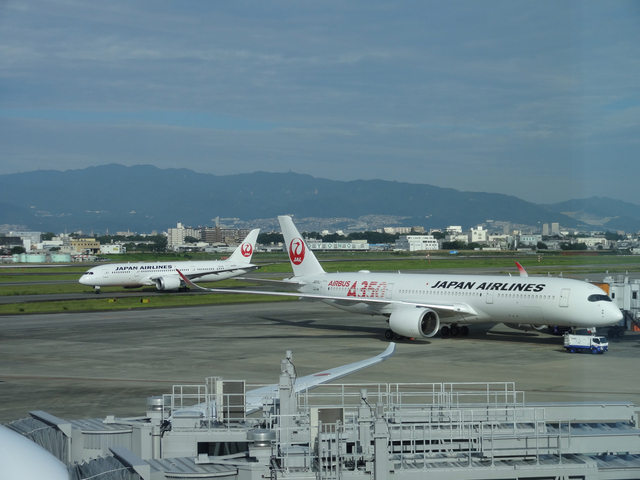 DSC07921.jpg