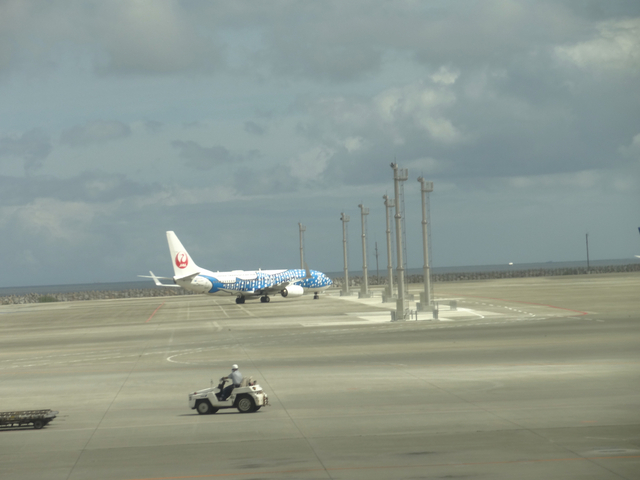 DSC08022.jpg