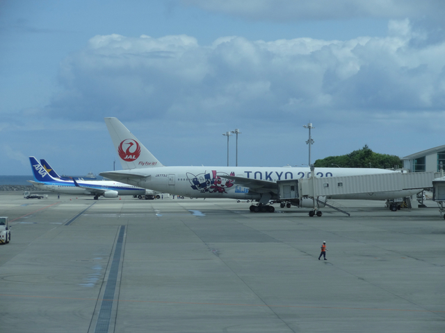 DSC08036.jpg