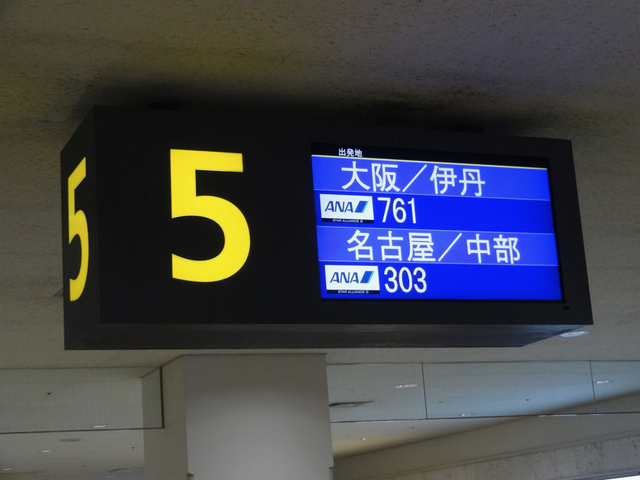 DSC08044.jpg