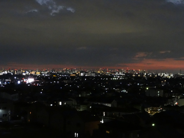 DSC08345.JPG
