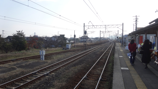 DSC08436.jpg