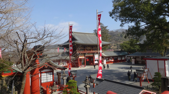 DSC08460.jpg