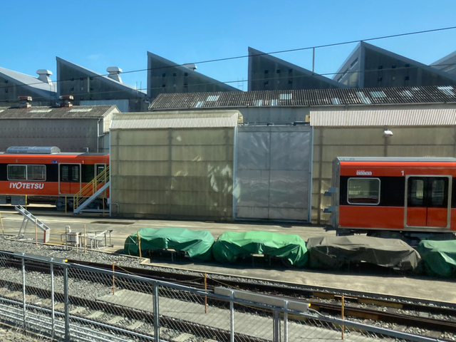 IMG_9128.jpeg